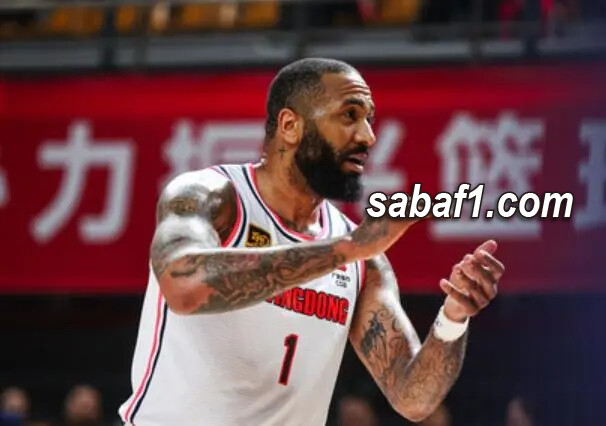 提供宝贵的 提供宝贵的