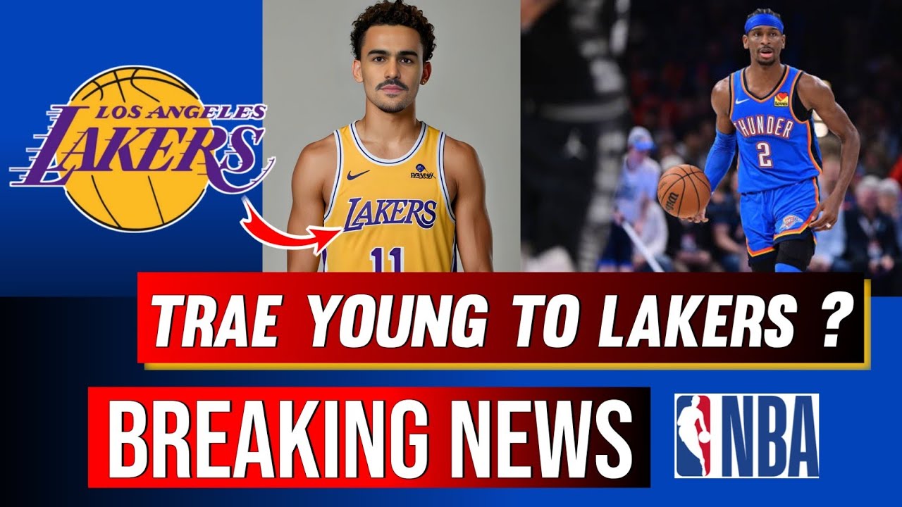 这种文化的 这种文化的