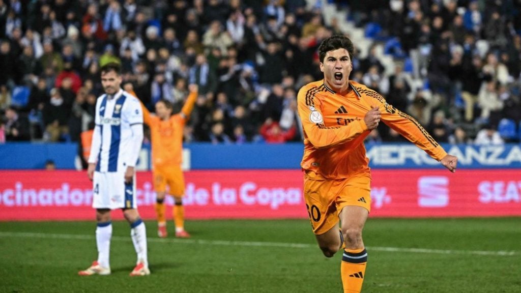 代表绿军的 代表绿军的